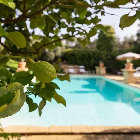 La Baronia * Trapani