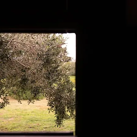 La Baronia Hétvégi ház